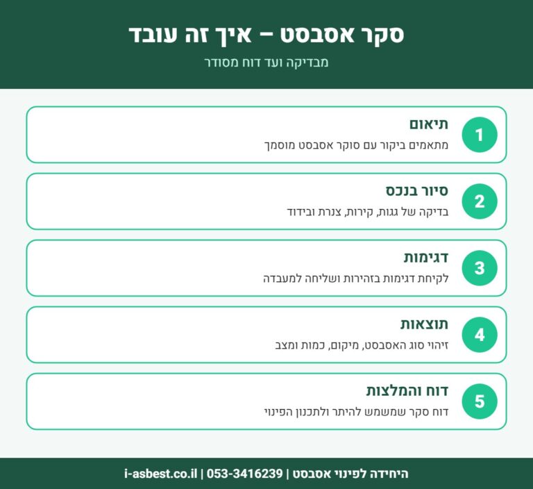 אינפוגרפיקה: שלבי סקר אסבסט