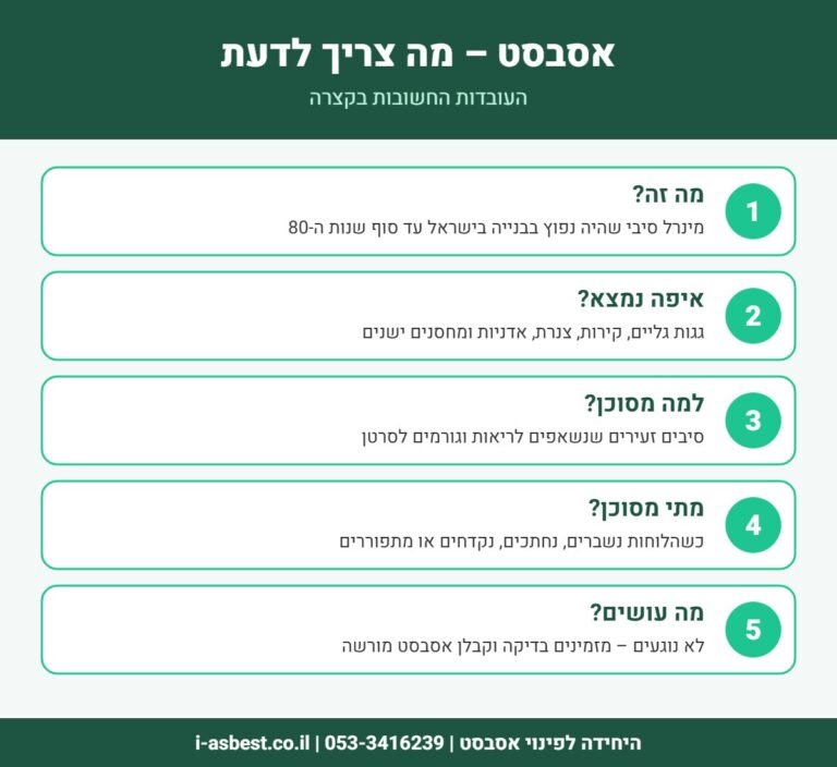 אינפוגרפיקה: מה זה אסבסט, איפה הוא נמצא ולמה הוא מסוכן